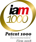 IAM Patent 1000