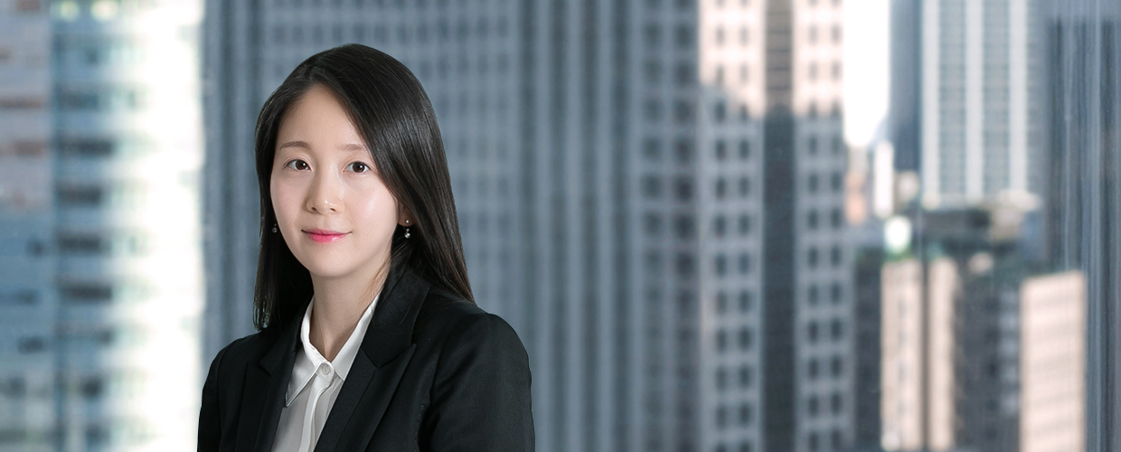 Seonjeong LEE Patent Attorney