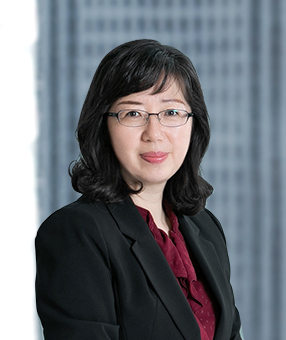 Young Lan CHA Patent Attorney